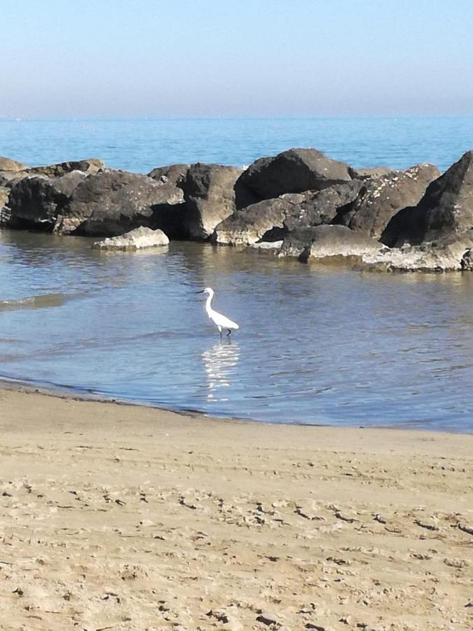 A Casa Minerva Daire Rimini Dış mekan fotoğraf