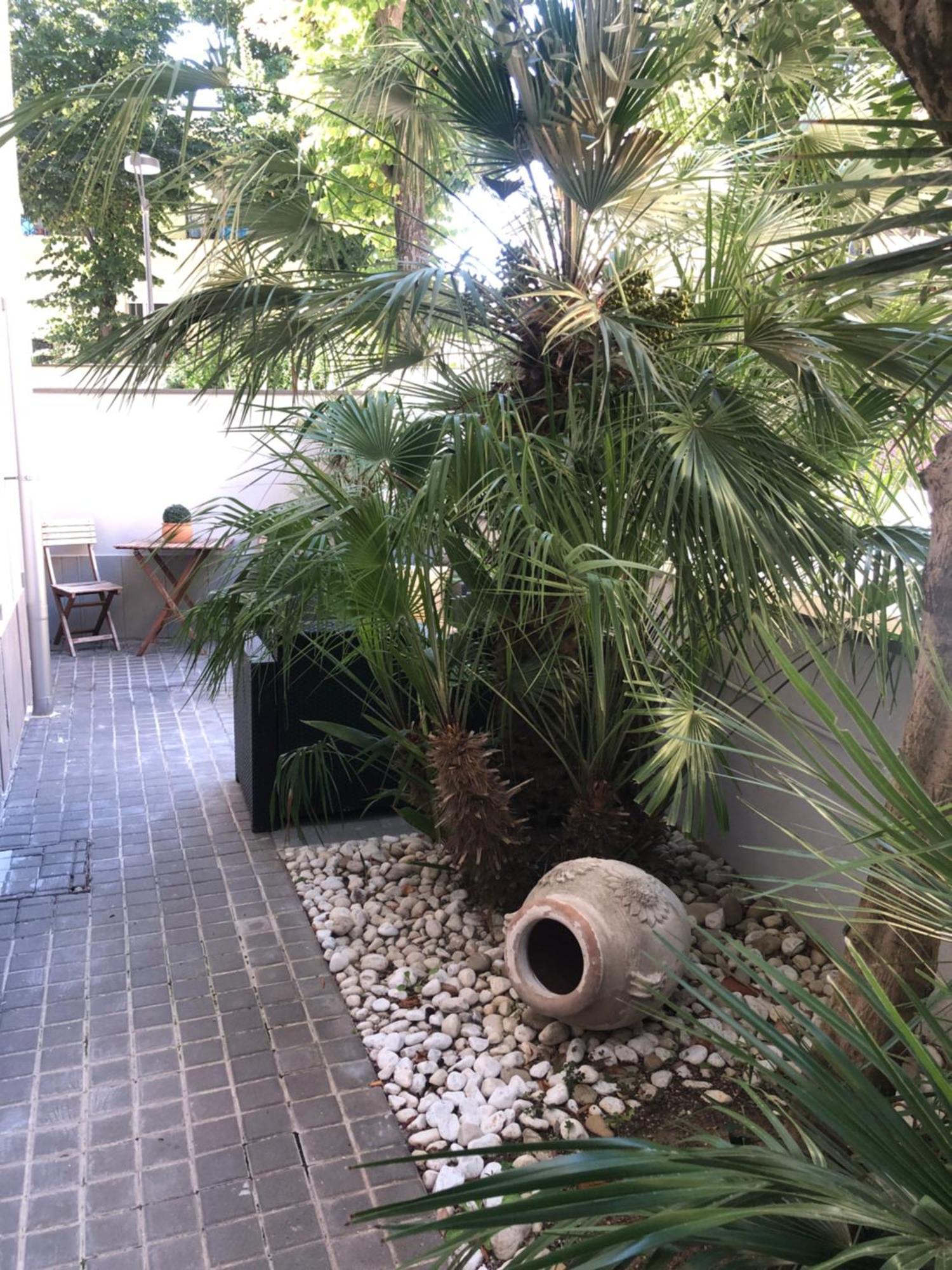 A Casa Minerva Daire Rimini Dış mekan fotoğraf